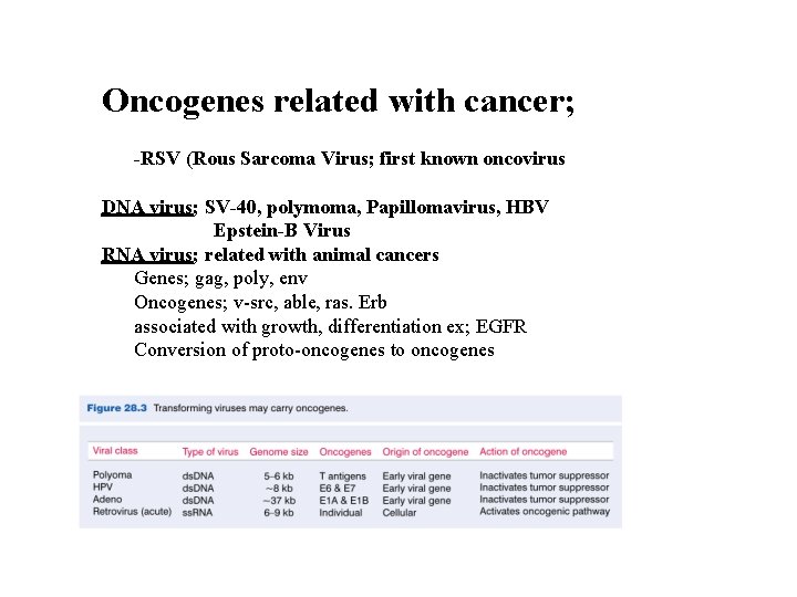 Oncogenes related with cancer; -RSV (Rous Sarcoma Virus; first known oncovirus DNA virus; SV-40,