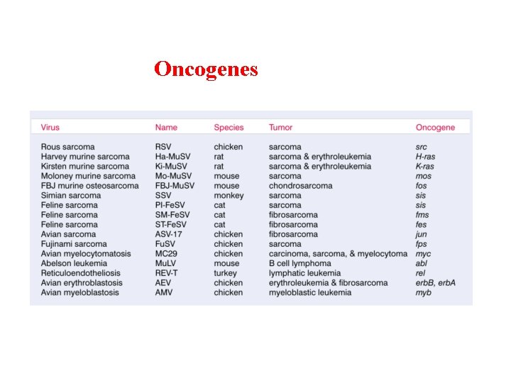 Oncogenes 