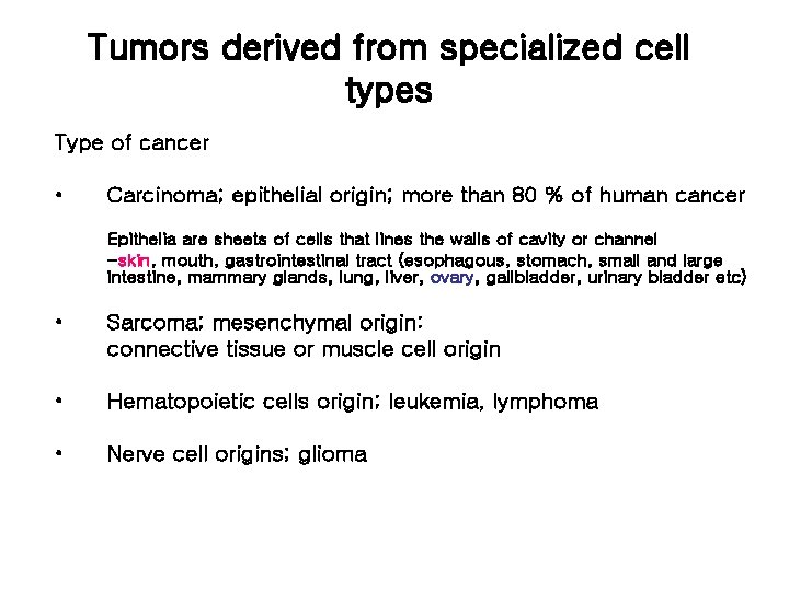 Tumors derived from specialized cell types Type of cancer • Carcinoma; epithelial origin; more