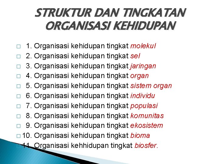STRUKTUR DAN TINGKATAN ORGANISASI KEHIDUPAN 1. Organisasi kehidupan tingkat molekul � 2. Organisasi kehidupan