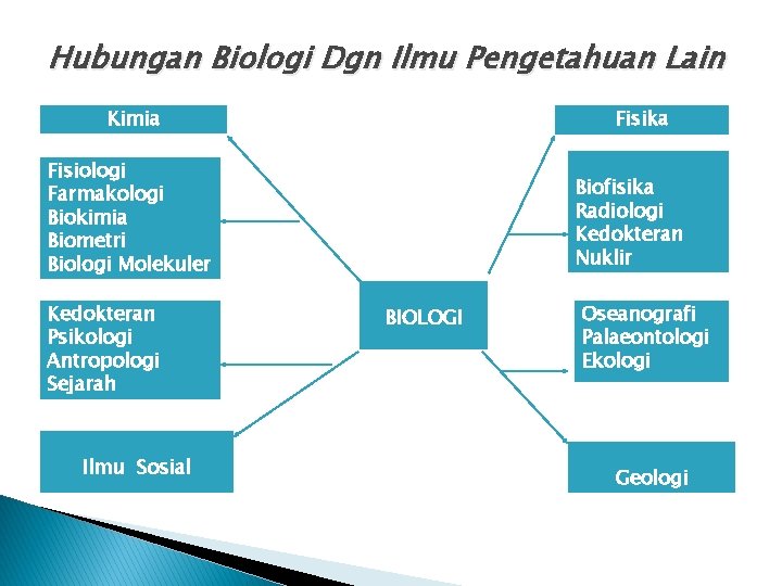 Hubungan Biologi Dgn Ilmu Pengetahuan Lain Kimia Fisika Fisiologi Farmakologi Biokimia Biometri Biologi Molekuler