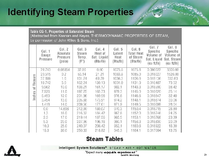 Identifying Steam Properties Steam Tables ® “Expect many enjoyable experiences!” David M. Armstrong 21