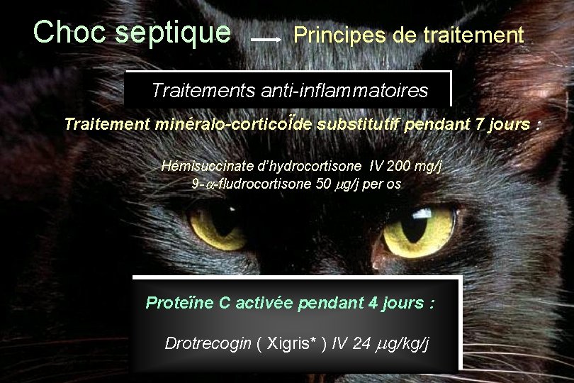 Choc septique Principes de traitement Traitements anti-inflammatoires Traitement minéralo-corticoÏde substitutif pendant 7 jours :