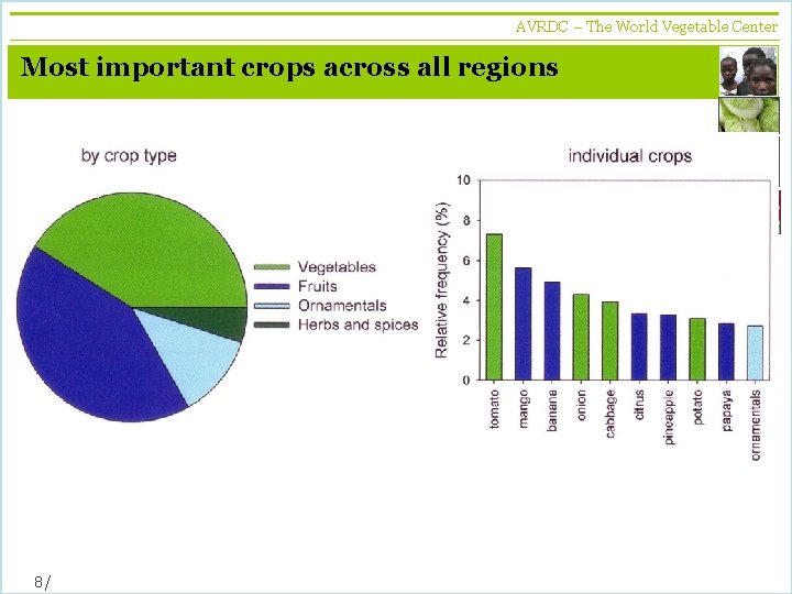 AVRDC – The World Vegetable Center vegetables + development Most important crops across all