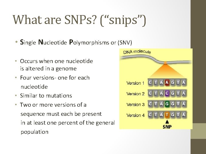 What are SNPs? (“snips”) • Single Nucleotide Polymorphisms or (SNV) • Occurs when one