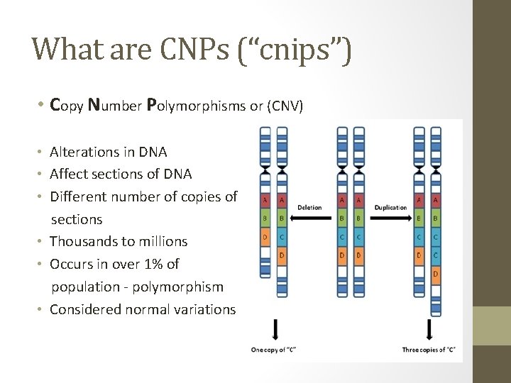 What are CNPs (“cnips”) • Copy Number Polymorphisms or (CNV) • Alterations in DNA