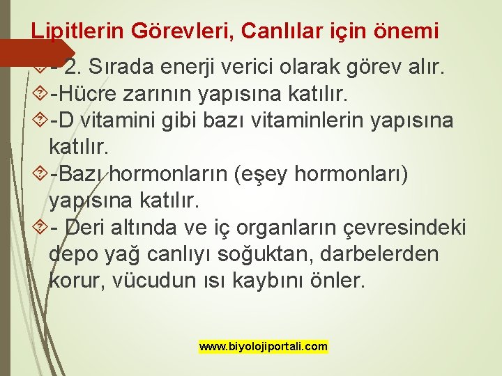 Lipitlerin Görevleri, Canlılar için önemi - 2. Sırada enerji verici olarak görev alır. -Hücre