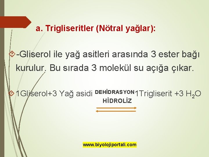 a. Trigliseritler (Nötral yağlar): -Gliserol ile yağ asitleri arasında 3 ester bağı kurulur. Bu