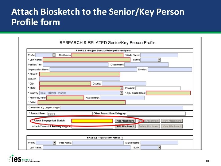 Attach Biosketch to the Senior/Key Person Profile form 103 