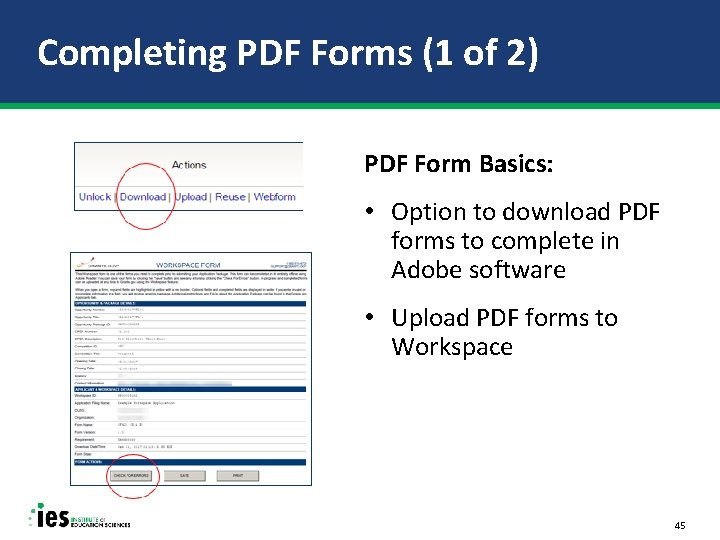 Completing PDF Forms (1 of 2) PDF Form Basics: • Option to download PDF