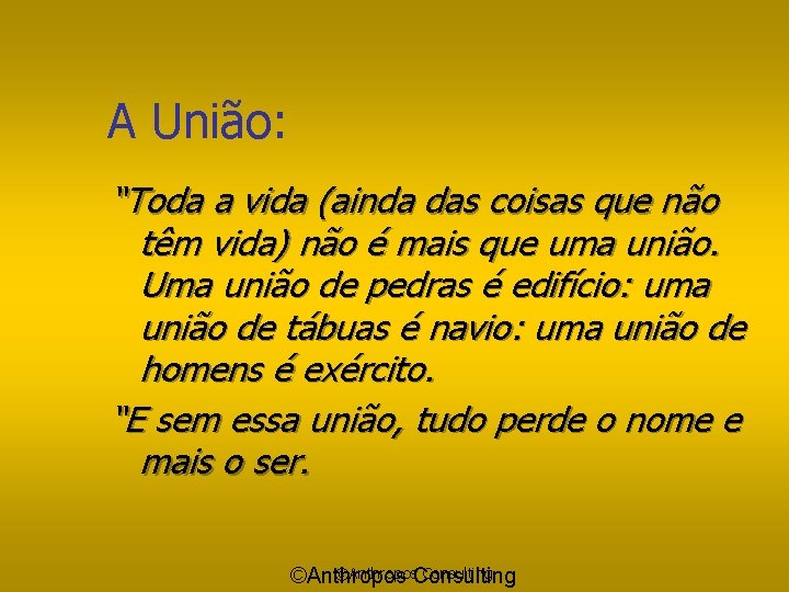 A União: “Toda a vida (ainda das coisas que não têm vida) não é