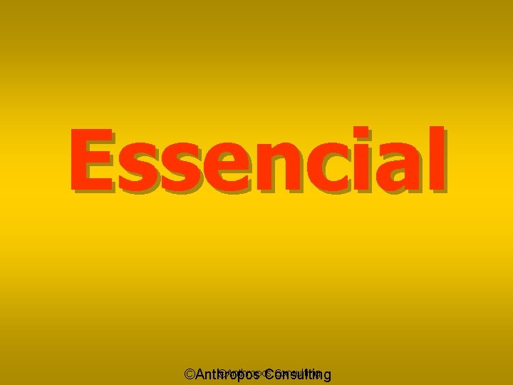 Essencial ©Anthropos Consulting 