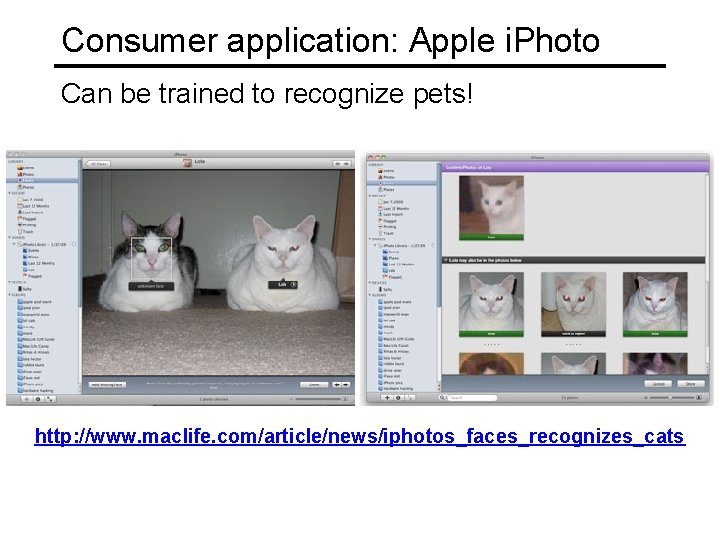 Consumer application: Apple i. Photo Can be trained to recognize pets! http: //www. maclife.