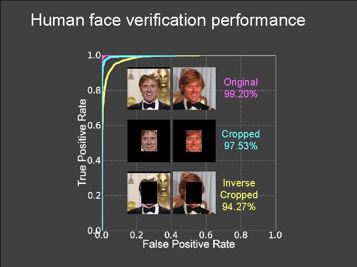 Human face verification performance Original 99. 20% Cropped 97. 53% Inverse Cropped 94. 27%