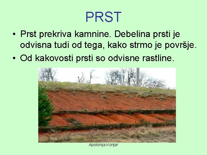PRST • Prst prekriva kamnine. Debelina prsti je odvisna tudi od tega, kako strmo PRST • Prst prekriva kamnine. Debelina prsti je odvisna tudi od tega, kako strmo