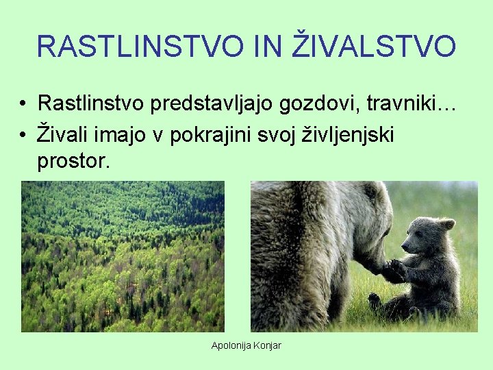 RASTLINSTVO IN ŽIVALSTVO • Rastlinstvo predstavljajo gozdovi, travniki… • Živali imajo v pokrajini svoj RASTLINSTVO IN ŽIVALSTVO • Rastlinstvo predstavljajo gozdovi, travniki… • Živali imajo v pokrajini svoj