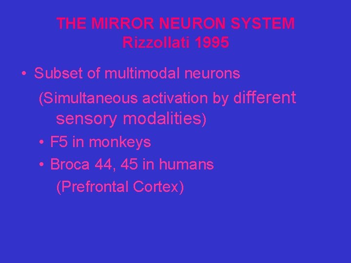 THE MIRROR NEURON SYSTEM Rizzollati 1995 • Subset of multimodal neurons (Simultaneous activation by