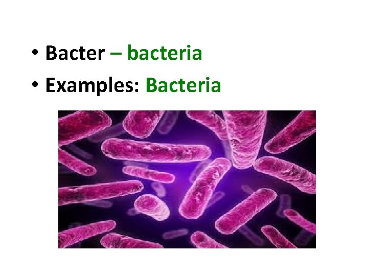  • Bacter – bacteria • Examples: Bacteria 