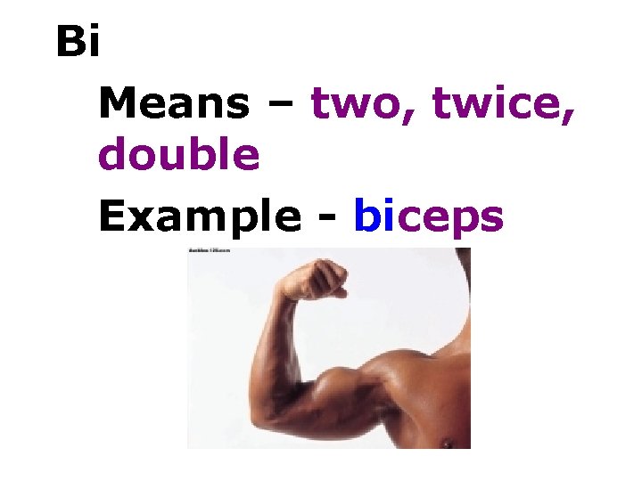 Bi Means – two, twice, double Example - biceps 