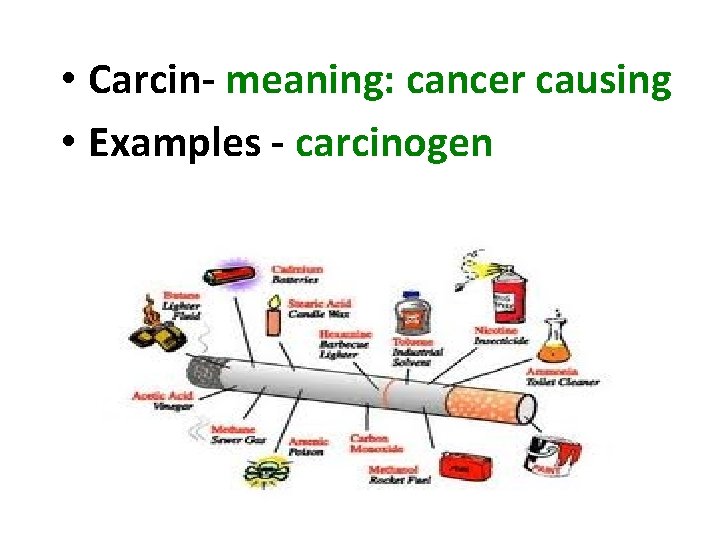  • Carcin- meaning: cancer causing • Examples - carcinogen 