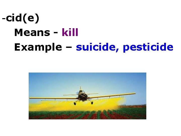 -cid(e) Means - kill Example – suicide, pesticide 