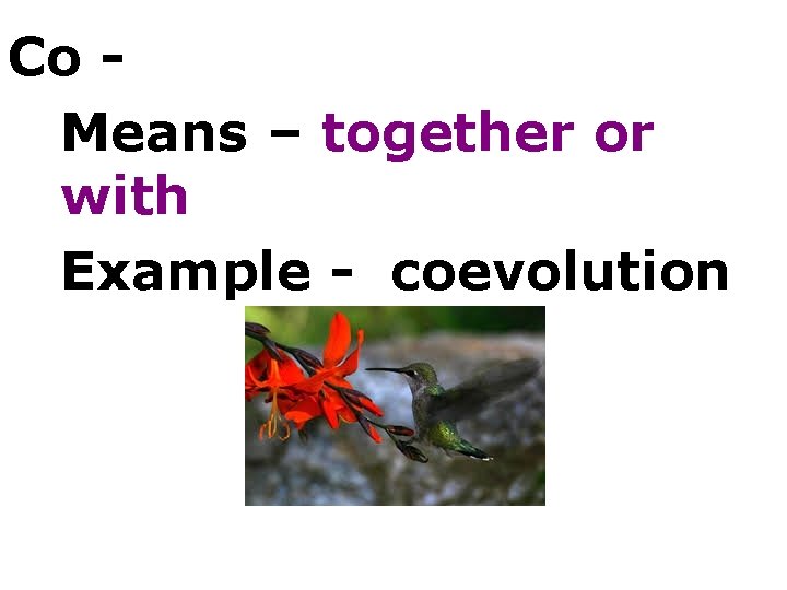 Co Means – together or with Example - coevolution 