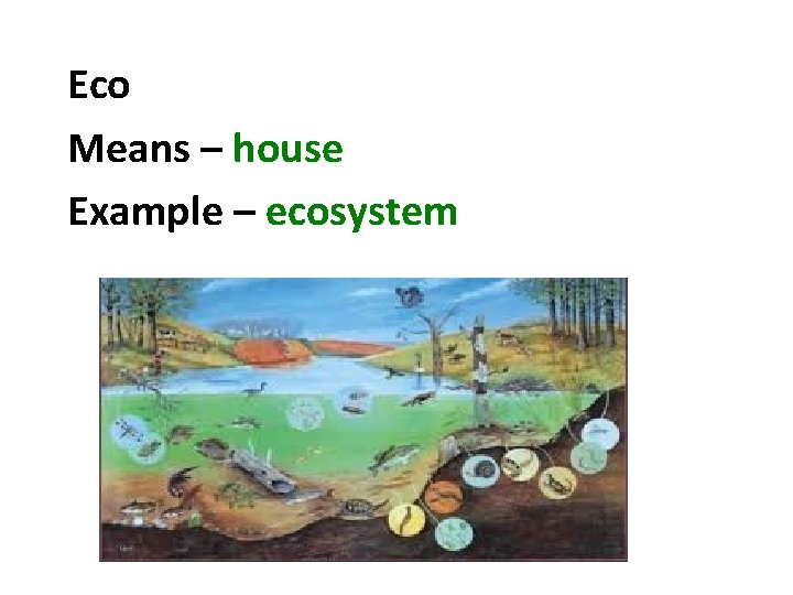 Eco Means – house Example – ecosystem 