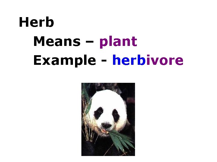 Herb Means – plant Example - herbivore 