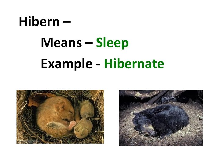 Hibern – Means – Sleep Example - Hibernate 