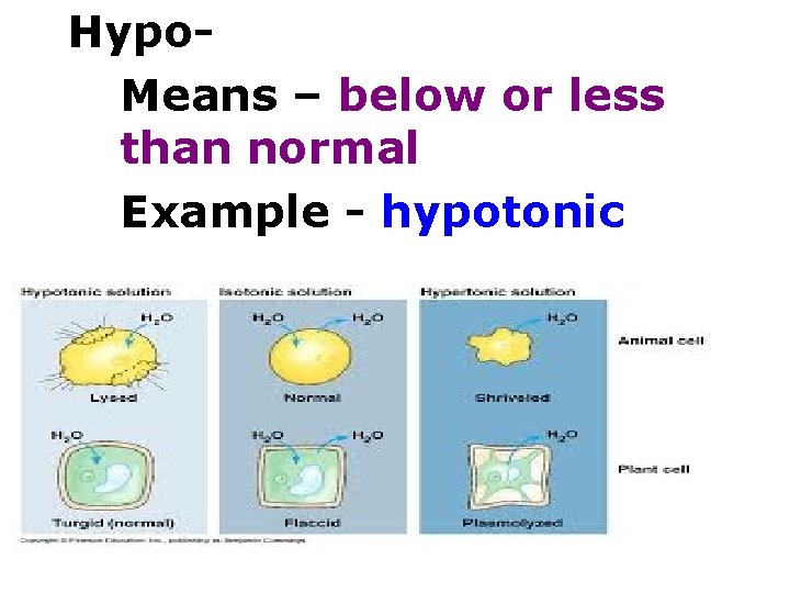 Hypo. Means – below or less than normal Example - hypotonic 