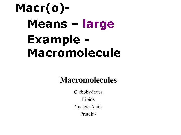 Macr(o)Means – large Example Macromolecule 