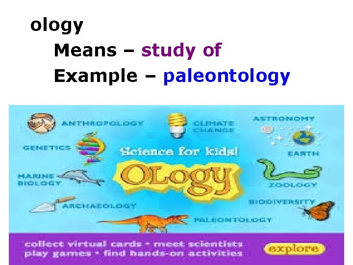ology Means – study of Example – paleontology 
