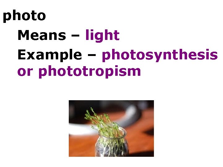 photo Means – light Example – photosynthesis or phototropism 