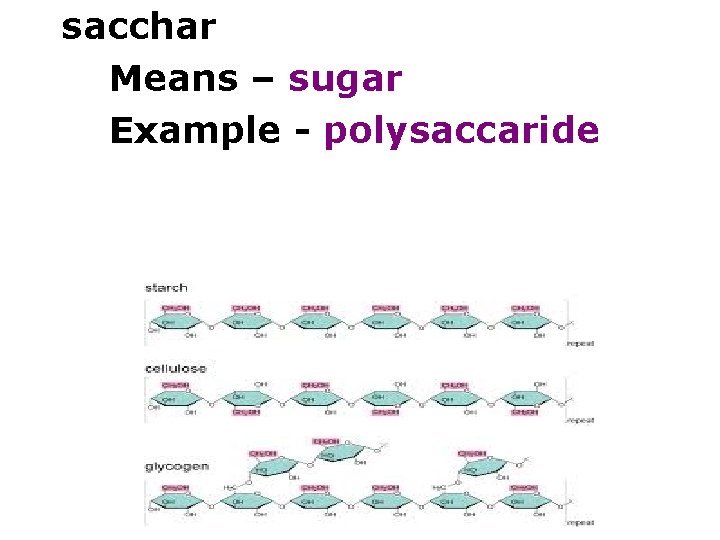 sacchar Means – sugar Example - polysaccaride 
