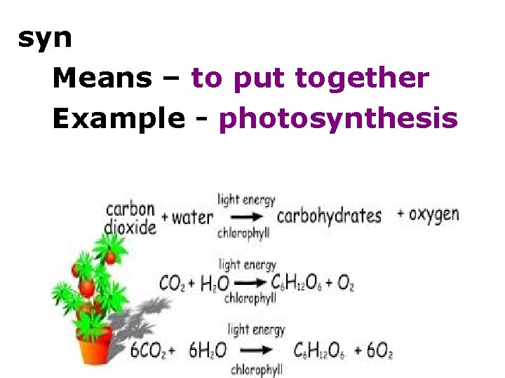 syn Means – to put together Example - photosynthesis 