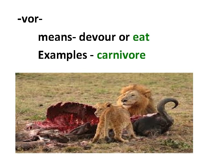 -vor- means- devour or eat Examples - carnivore 