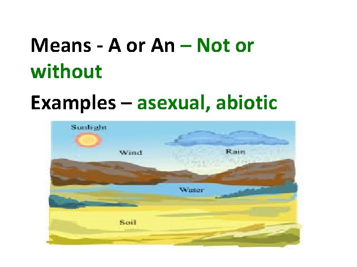 Means - A or An – Not or without Examples – asexual, abiotic 
