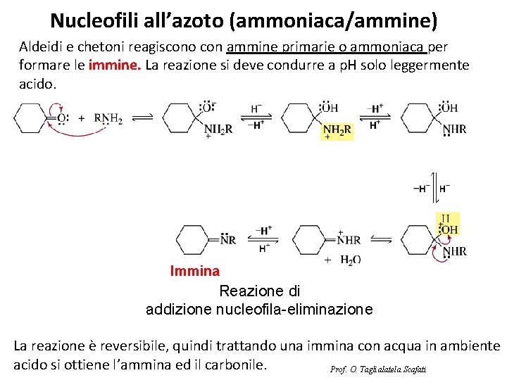 Nucleofili all’azoto (ammoniaca/ammine) Aldeidi e chetoni reagiscono con ammine primarie o ammoniaca per formare