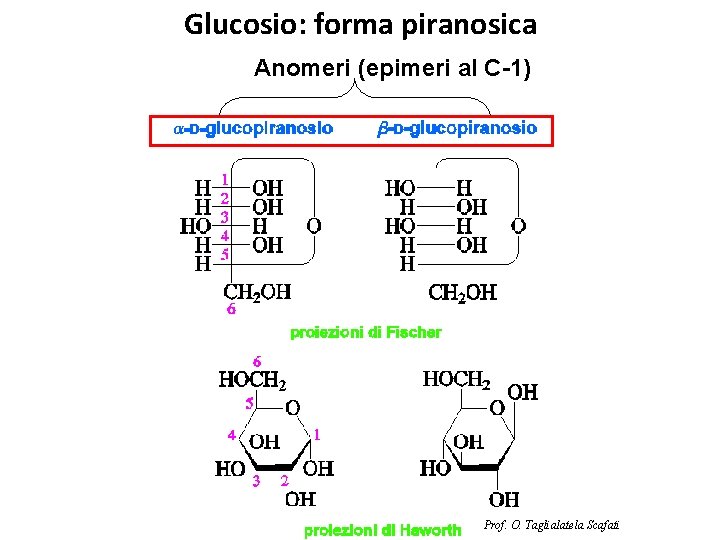 Glucosio: forma piranosica Anomeri (epimeri al C-1) Prof. O. Taglialatela Scafati 