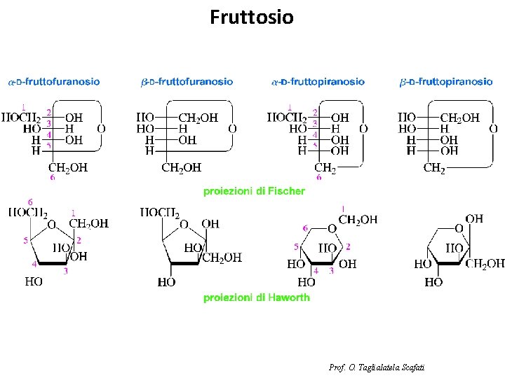 Fruttosio Prof. O. Taglialatela Scafati 