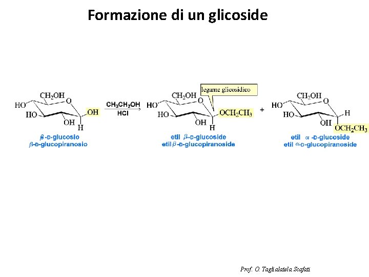 Formazione di un glicoside Prof. O. Taglialatela Scafati 