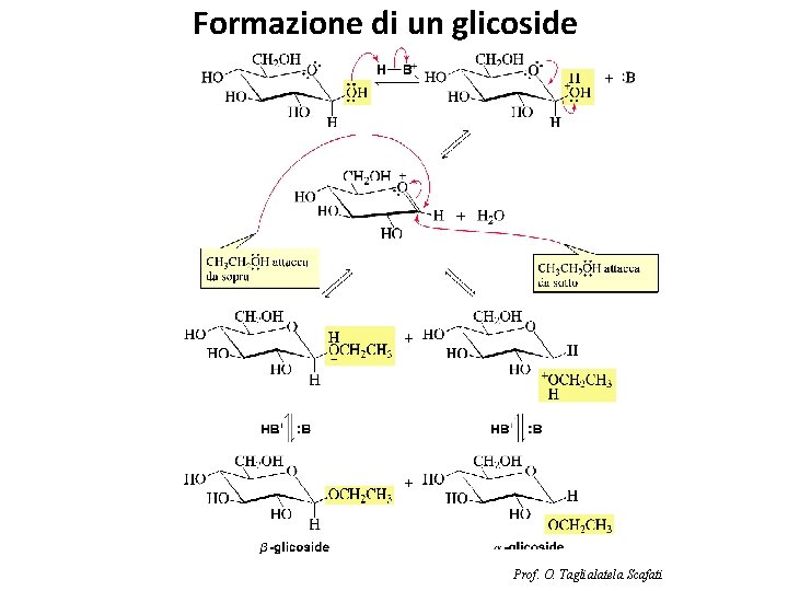 Formazione di un glicoside Prof. O. Taglialatela Scafati 