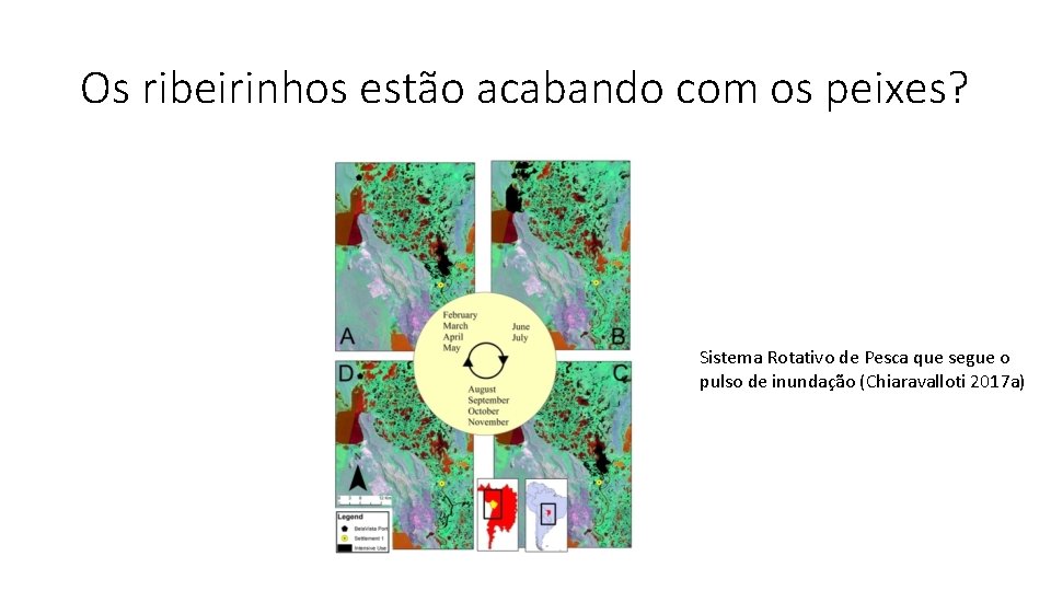Os ribeirinhos estão acabando com os peixes? Sistema Rotativo de Pesca que segue o