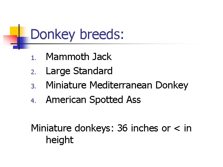 Donkey breeds: 1. 2. 3. 4. Mammoth Jack Large Standard Miniature Mediterranean Donkey American
