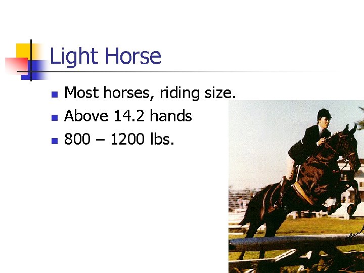 Light Horse n n n Most horses, riding size. Above 14. 2 hands 800