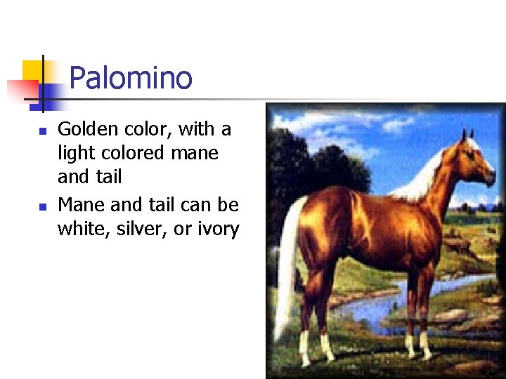 Palomino n n Golden color, with a light colored mane and tail Mane and