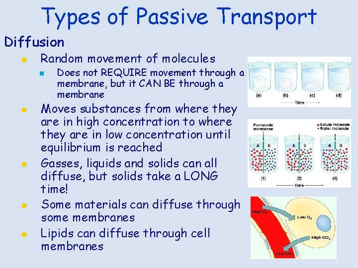 Types of Passive Transport Diffusion n Random movement of molecules n n n Does