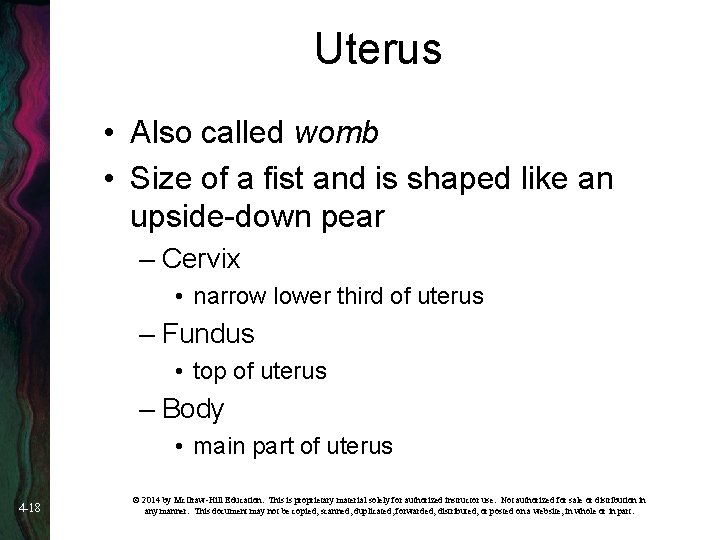 Uterus • Also called womb • Size of a fist and is shaped like