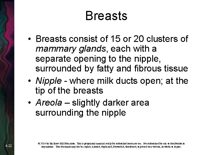 Breasts • Breasts consist of 15 or 20 clusters of mammary glands, each with