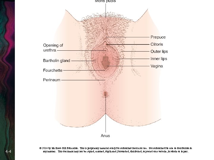 4 -4 © 2014 by Mc. Graw-Hill Education. This is proprietary material solely for